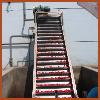 Stainless steel scraper low position elevator