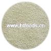 GARLIC POWDER