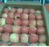 Fresh Apples Gaja