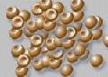  brine   shrimp   egg s