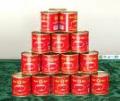  tomato   paste  in canned