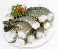 HLSO Black Tiger Shrimp