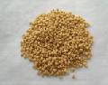 Textured Vegetable Protein YL01