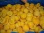 IQF apricot halves