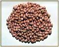 GROUNDNUT KERNELS