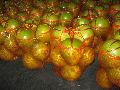 top honey pomelo