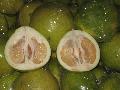 top pinghe pomelo