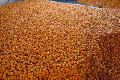 hot selling nanfeng orange