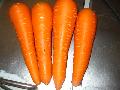  fresh   chinese   carrot 