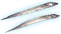 Ribbon fish (Trichiurus Lepturus)