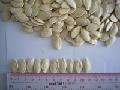 Pumpkin seeds
