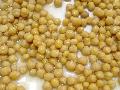  chick  peas in can