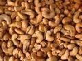 cashew nuts