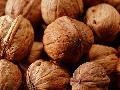 walnuts&meat,wild mushrooms,kidney beans,nuts