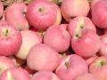 Fresh Apple GALA APPLE