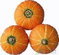Natural and cold pressed pumpkin seed oil