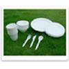 Disposable sugarcane pulp tableware