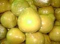  Fresh   Pomelo 
