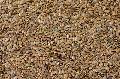 Linseed