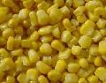 IQF Frozen sweet corn