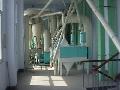 wheat flour processing line