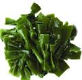 Brown  Seaweed   Extract  /  Fucoxanthin 