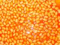 Canned Soybean in Tomato Sauce