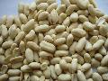 blanched peanut kernels