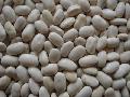 white kidney beans