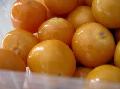 FRESH GOLDEN BERRIES