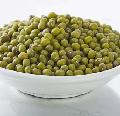 green mung beans