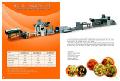 Screws/Shell/Bugles Chips Processing Line