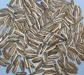 black sunflower seeds