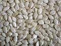 snow white pumpkin seeds