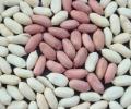 peanuts, cashew nuts. betel nuts and others
