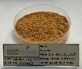 Natto Freeze Drying powder