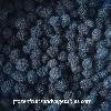 Frozen Blackberries