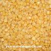 Frozen Sweet Corn