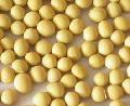 Soybean isoflavones
