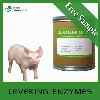Food Enzyme Lipacin for Piglet Diets