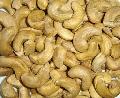 cashew nut