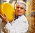 Gouda cheese
