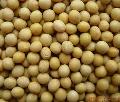 soya beans