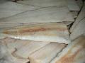 sell Alaska pollock, Theragra   Chalcogramma 
