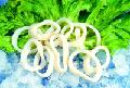 sell  Illex   Squid , Illex   Argentinus ,seafood