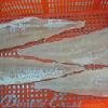Salted Pollock Fillet