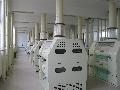  corn   process ing machinery