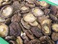 shiitake