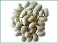 White  Kidney  Bean Extract