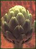  Artichoke   Leaf  P.E